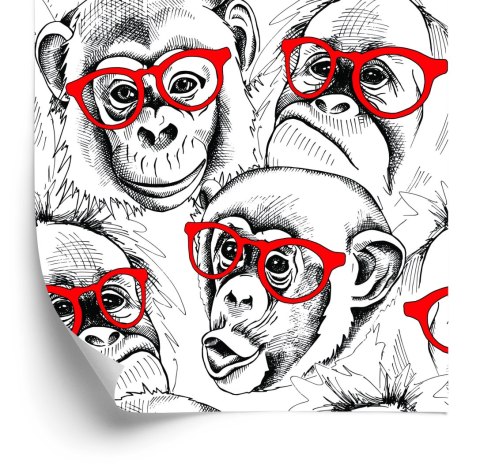 Tapeta - Szympansy Flizelina 53x1000 TR-2867-VER-53