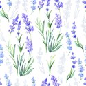 Tapeta Różnorodność Lawendy Flizelina 53x1000 TR-2679-VER-53