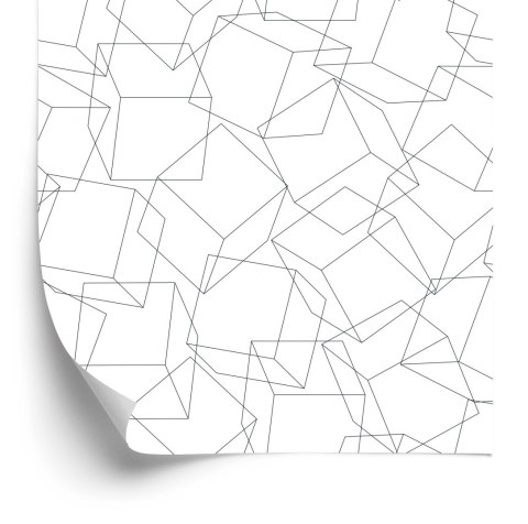 Tapeta Geometryczna - Minimalizm Efekt 3D Flizelina 53x1000 TR-155-VER-53