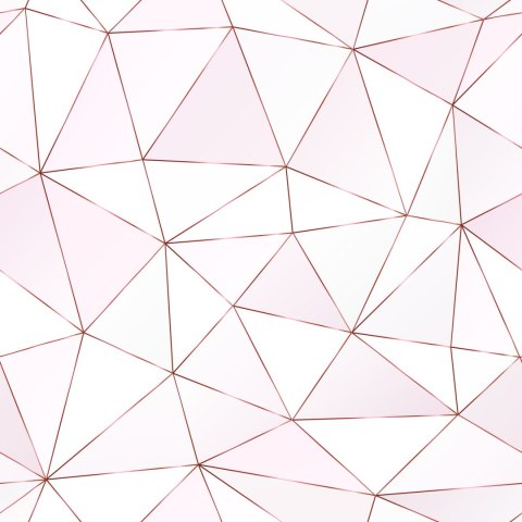 Tapeta Nowoczesny Wzór Geometryczny Flizelina 53x1000 TR-1527-VER-53