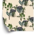 Tapeta - Słonie I Rośliny Flizelina 53x1000 TR-2204-VER-53