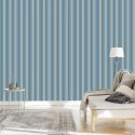 Tapeta W Klasyczne Pionowe Pasy, Do Biura, Salonu Flizelina 53x1000 TR-1433-VER-53