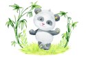 Fototapeta Panda I Bambus Flizelina Zmywalna 315x210 FT-2380-VEML315-210