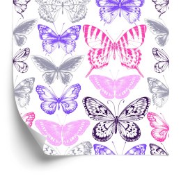 Tapeta Do Pokoju Dziecka Kolorowe Motyle Natura Flizelina 53x1000 TR-2826-VER-53