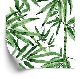 Tapeta Bambusowy Las Z Liśćmi Flizelina 53x1000 TR-3699-VER-53