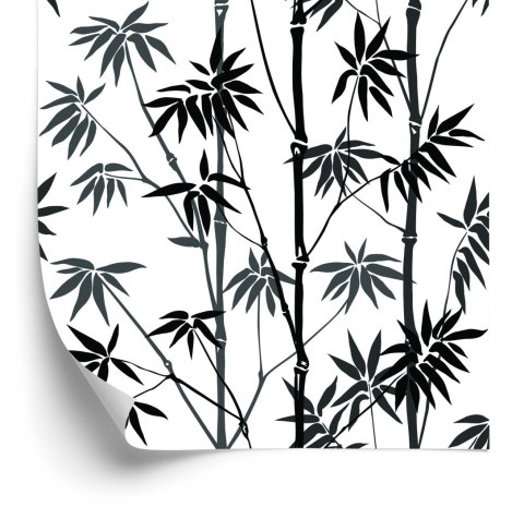 Tapeta Czarno-Biały Las Bambusowy Flizelina 53x1000 TR-3698-VER-53