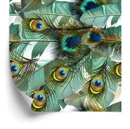 Tapeta Liście I Pawie Pióra Flizelina 53x1000 TR-4321-VER-53