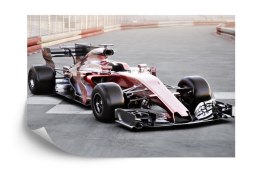 Fototapeta Bolid F1 Na Lini Startu Flizelina 312x219 FT-3795-VEXXL