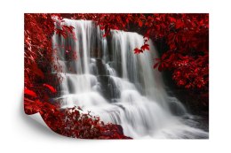 Fototapeta Jesienny Wodospad Flizelina Zmywalna 368x280 FT-556-VEML10
