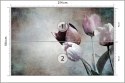 Fototapeta Tulipany W Stylu Vintage Flizelina 254x184 FT-970-V4