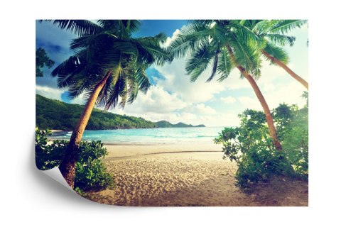 Fototapeta Palmy Na Seszelach Tapeta Samoprzylepna 450x300 FT-4138-SK450-300