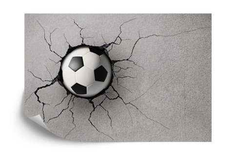 Fototapeta Pokój Młodzieżowy, Piłka Vinyl Strukturalny 360x240 FT-1379-VS360-240