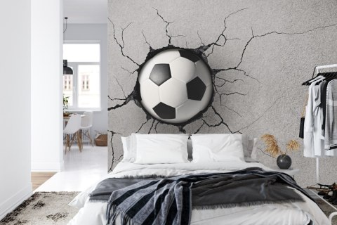 Fototapeta Pokój Młodzieżowy, Piłka Vinyl Strukturalny 360x240 FT-1379-VS360-240