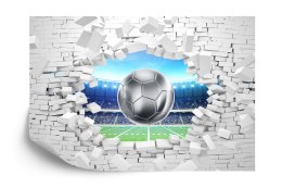 Fototapeta 3D Cegła, Piłka Nożna Tapeta Samoprzylepna 416x254 FT-1941-SKXXXL