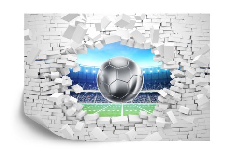 Fototapeta 3D Cegła, Piłka Nożna Vinyl Gładki 400x280 FT-1941-VG400-280