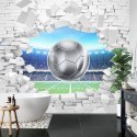 Fototapeta 3D Cegła, Piłka Nożna Vinyl Gładki 405x270 FT-1941-VG405-270