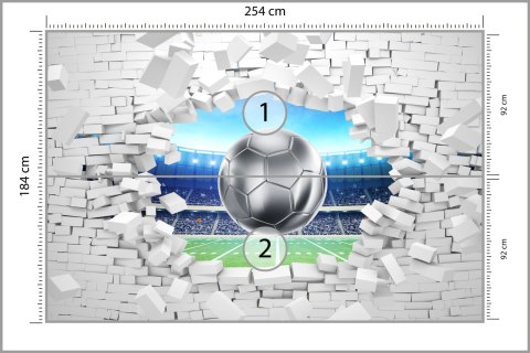 Fototapeta 3D Cegła, Piłka Nożna Flizelina Zmywalna 254x184 FT-1941-VEML4