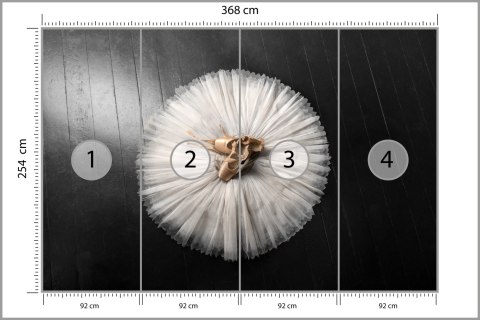 Fototapeta Buty Do Baletu Na Białej Tutu Flizelina 368x254 FT-3827-V8