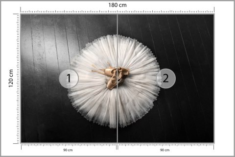 Fototapeta Buty Do Baletu Na Białej Tutu Flizelina Zmywalna 180x120 FT-3827-VEML180-120