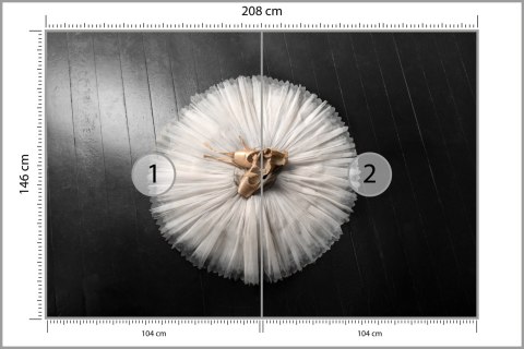 Fototapeta Buty Do Baletu Na Białej Tutu Flizelina Zmywalna 208x146 FT-3827-VEMLXL