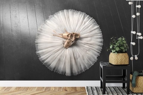 Fototapeta Buty Do Baletu Na Białej Tutu Flizelina Zmywalna 312x219 FT-3827-VEMLXXL