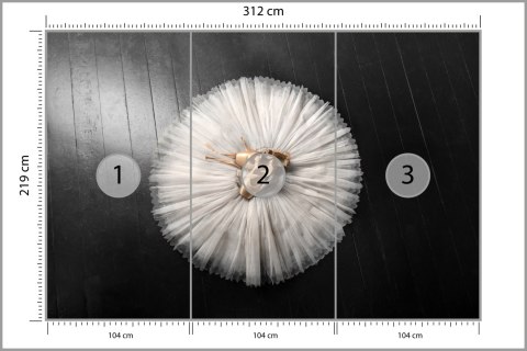 Fototapeta Buty Do Baletu Na Białej Tutu Flizelina Zmywalna 312x219 FT-3827-VEMLXXL