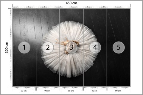 Fototapeta Buty Do Baletu Na Białej Tutu Flizelina Zmywalna 450x300 FT-3827-VEML450-300