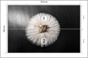 Fototapeta Buty Do Baletu Na Białej Tutu Tapeta Samoprzylepna 254x184 FT-3827-SK4