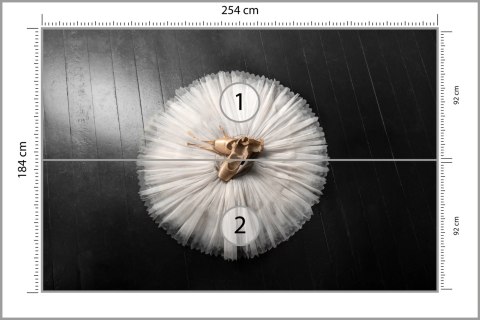 Fototapeta Buty Do Baletu Na Białej Tutu Tapeta Samoprzylepna 254x184 FT-3827-SK4