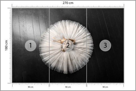 Fototapeta Buty Do Baletu Na Białej Tutu Tapeta Samoprzylepna 270x180 FT-3827-SK270-180