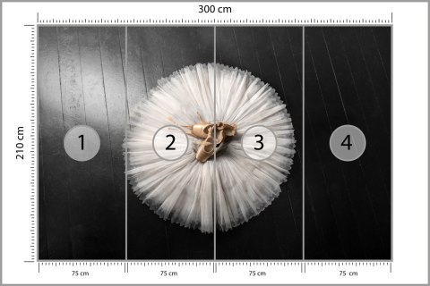 Fototapeta Buty Do Baletu Na Białej Tutu Tapeta Samoprzylepna 300x210 FT-3827-SK300-210