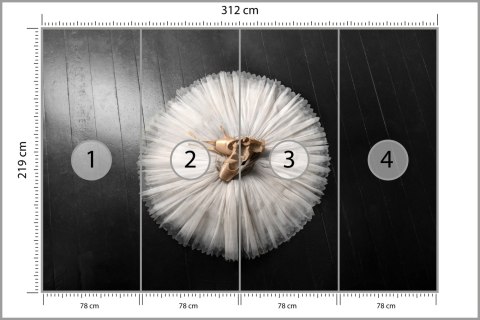 Fototapeta Buty Do Baletu Na Białej Tutu Tapeta Samoprzylepna 416x254 FT-3827-SKXXXL