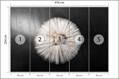 Fototapeta Buty Do Baletu Na Białej Tutu Tapeta Samoprzylepna 416x290 FT-3827-SKXXXXL