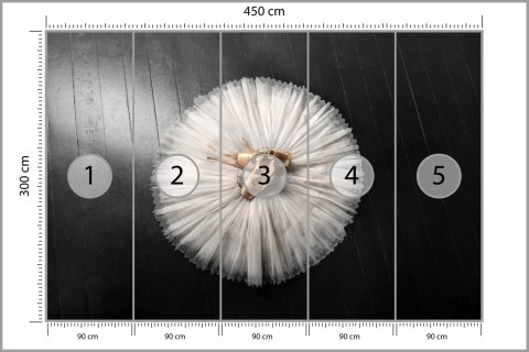 Fototapeta Buty Do Baletu Na Białej Tutu Tapeta Samoprzylepna 450x300 FT-3827-SK450-300