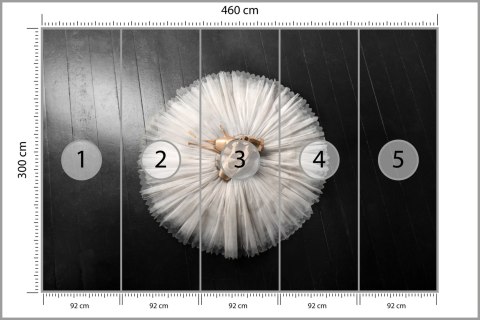 Fototapeta Buty Do Baletu Na Białej Tutu Tapeta Samoprzylepna 460x300 FT-3827-SK12