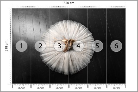 Fototapeta Buty Do Baletu Na Białej Tutu Tapeta Samoprzylepna 520x318 FT-3827-SKXXXXXL