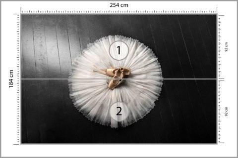 Fototapeta Buty Do Baletu Na Białej Tutu Vinyl Gładki 254x184 FT-3827-VG4