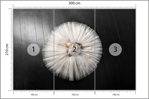 Fototapeta Buty Do Baletu Na Białej Tutu Vinyl Gładki 300x210 FT-3827-VG300-210