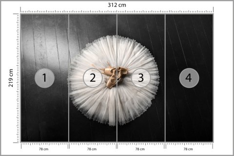 Fototapeta Buty Do Baletu Na Białej Tutu Vinyl Gładki 312x219 FT-3827-VGXXL
