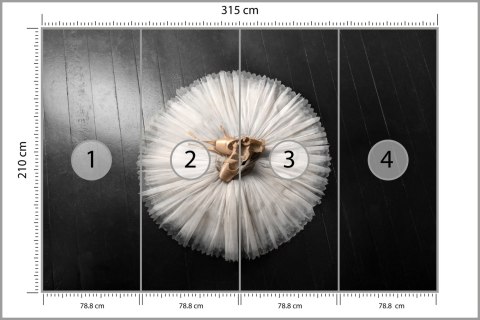 Fototapeta Buty Do Baletu Na Białej Tutu Vinyl Gładki 315x210 FT-3827-VG315-210