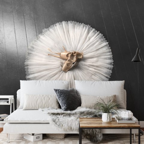 Fototapeta Buty Do Baletu Na Białej Tutu Vinyl Gładki 368x280 FT-3827-VG10