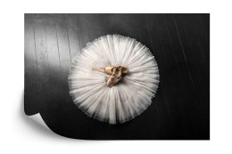 Fototapeta Buty Do Baletu Na Białej Tutu Vinyl Gładki 405x270 FT-3827-VG405-270