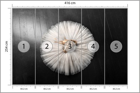 Fototapeta Buty Do Baletu Na Białej Tutu Vinyl Gładki 416x254 FT-3827-VGXXXL