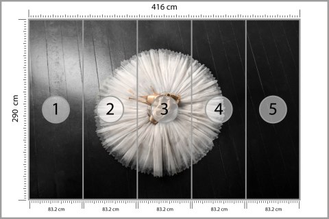 Fototapeta Buty Do Baletu Na Białej Tutu Vinyl Gładki 416x290 FT-3827-VGXXXXL