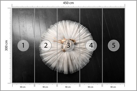 Fototapeta Buty Do Baletu Na Białej Tutu Vinyl Gładki 450x300 FT-3827-VG450-300