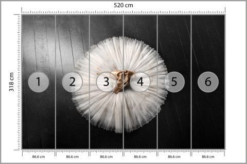 Fototapeta Buty Do Baletu Na Białej Tutu Vinyl Gładki 520x318 FT-3827-VGXXXXXL