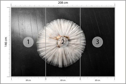 Fototapeta Buty Do Baletu Na Białej Tutu Vinyl Strukturalny 208x146 FT-3827-VSXL