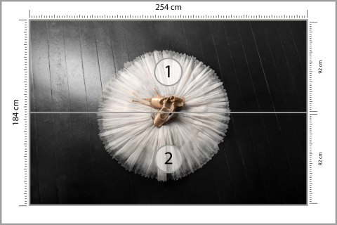 Fototapeta Buty Do Baletu Na Białej Tutu Vinyl Strukturalny 254x184 FT-3827-VS4