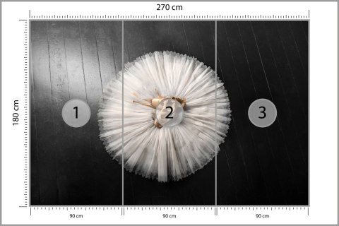 Fototapeta Buty Do Baletu Na Białej Tutu Vinyl Strukturalny 270x180 FT-3827-VS270-180