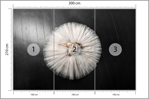 Fototapeta Buty Do Baletu Na Białej Tutu Vinyl Strukturalny 300x210 FT-3827-VS300-210